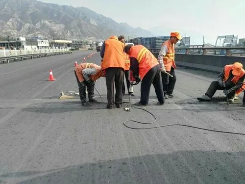 定远道路桥梁病害治理